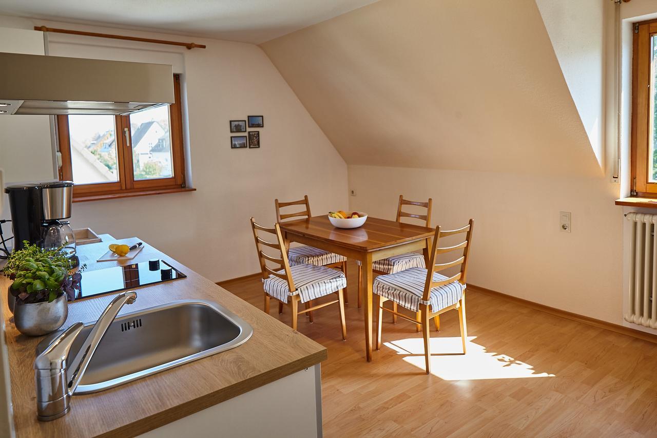 Bodensee Apartment Friedrichshafen Seenah Exteriör bild